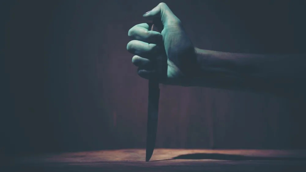 Novela negra y el thriller en España